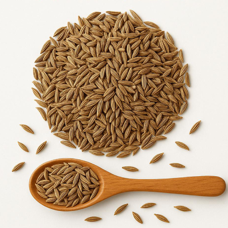 Premium Cumin Seeds