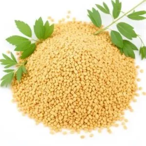 Fenugreek Seed